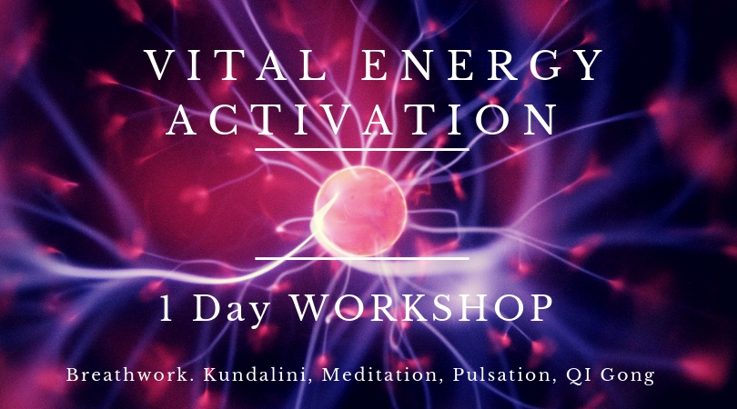 Energy Activation 1 Day Workshop 